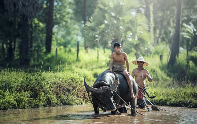 Related article image: Southeast Asia Regional eSIM: The Practical Travel Guide