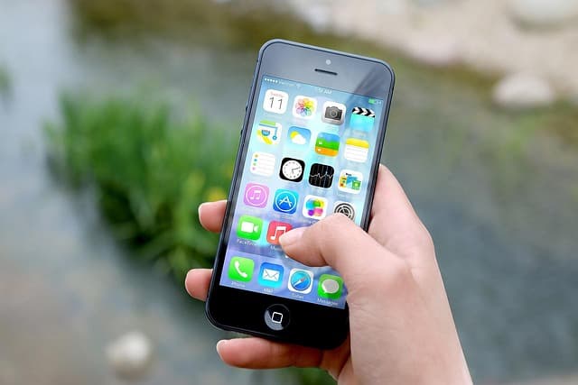 Mint Mobile SIM Card vs eSIM: Setup, Transfers & International Data