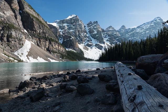 eSIM Canada Guide: Best Travel Data Plans and Setup