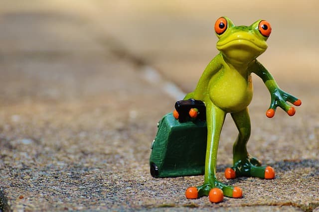 Related article image: Giffgaff eSIM: What Travellers Must Know Before Buying
