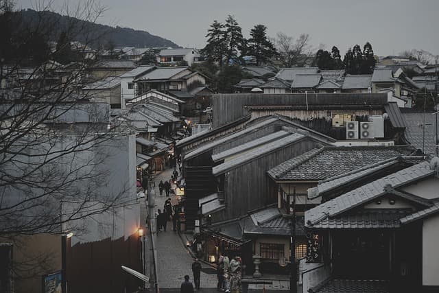 esim 日本